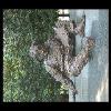DCStatueStroll-20060617-49.JPG