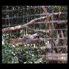 SINZP-20060805-003.JPG