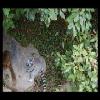 SINZP-20060805-011.JPG