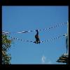 SINZP-20060805-016.JPG