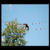 SINZP-20060805-017.JPG