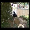 SINZP-20060805-028.JPG