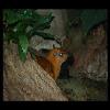 SINZP-20060805-042.JPG