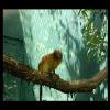 SINZP-20060805-047.JPG