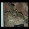 SINZP-20060805-053.JPG
