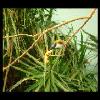 SINZP-20060805-062.JPG