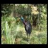 SINZP-20060805-082.JPG