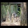 SINZP-20060805-083.JPG