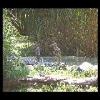 SINZP-20060805-089.JPG