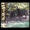 SINZP-20060805-090.JPG
