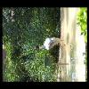 SINZP-20060805-092.JPG