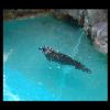 SINZP-20060805-101.JPG