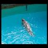 SINZP-20060805-102.JPG