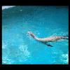 SINZP-20060805-104.JPG