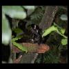 SINZP-20060805-112.JPG
