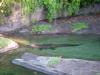 Day2-AnimalKingdom-007.JPG