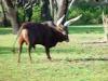 Day2-AnimalKingdom-010.JPG