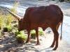 Day2-AnimalKingdom-011.JPG