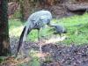 Day2-AnimalKingdom-030.JPG