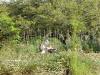 Day2-AnimalKingdom-039.JPG