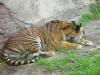Day2-AnimalKingdom-055.JPG
