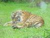 Day2-AnimalKingdom-056.JPG