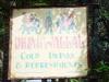 Day2-AnimalKingdom-061.JPG