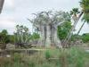Day2-AnimalKingdom-073.JPG