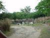 Day2-AnimalKingdom-075.JPG