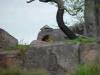 Day2-AnimalKingdom-076.JPG