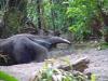 Day2-AnimalKingdom-086.JPG