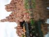Day4-MagicKingdom-020.JPG