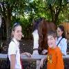 BuschGardens-20040925-01.JPG