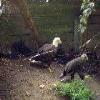 BuschGardens-20040925-24.JPG
