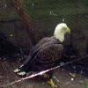 BuschGardens-20040925-25.JPG