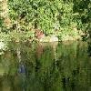 BuschGardens-20040925-32.JPG