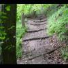 GreatFalls-20040613-16.JPG