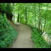 GreatFalls-20040613-18.JPG