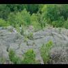 GreatFalls-20040613-36.JPG