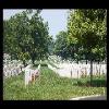 MemorialDay2006-09.JPG
