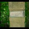 PrinceWilliamNationalForest-20040523-01.JPG