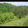 PrinceWilliamNationalForest-20040523-10.JPG