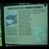 PrinceWilliamNationalForest-20040523-15.JPG