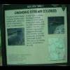 PrinceWilliamNationalForest-20040523-17.JPG