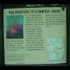 PrinceWilliamNationalForest-20040523-18.JPG