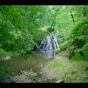 PrinceWilliamNationalForest-20040523-20.JPG