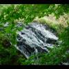PrinceWilliamNationalForest-20040523-21.JPG