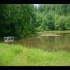 PrinceWilliamNationalForest-20040523-22.JPG