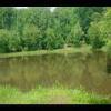 PrinceWilliamNationalForest-20040523-23.JPG
