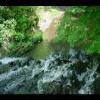 PrinceWilliamNationalForest-20040523-24.JPG